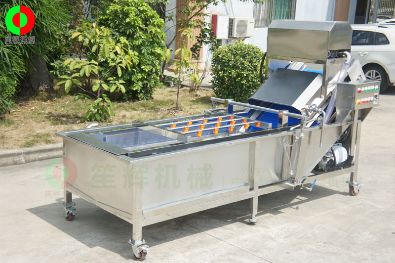 全網(wǎng)鏈輸送洗菜機