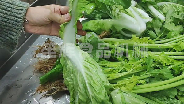 無損清洗機