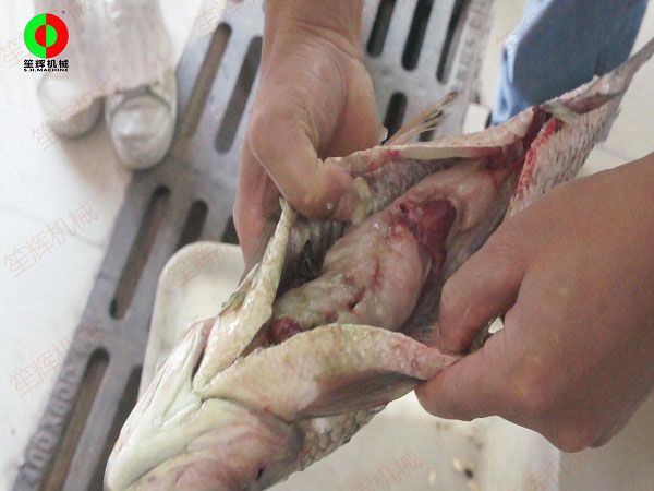 殺魚機(jī) 