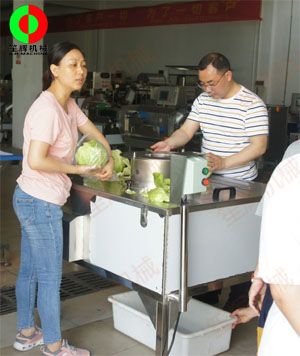 蔬果分瓣機(jī)現(xiàn)場測試，客戶滿意切割效果！