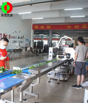枕式蔬果包裝生產(chǎn)線,客戶現(xiàn)場測試驗收！