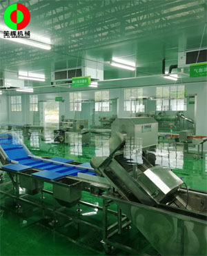 廣西蒙山標(biāo)準(zhǔn)化凈菜加工車間項(xiàng)目，毛菜加工車間順利完工！